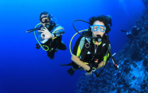 Gallery Thumbnail 1