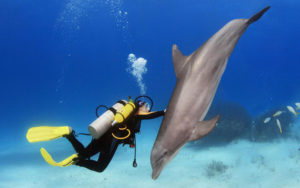 Gallery Thumbnail 1