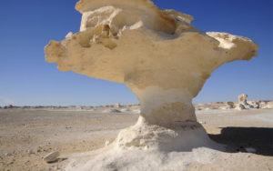 Gallery Thumbnail 1